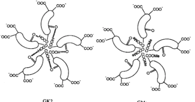 Fig.  6  Over-simplified  Pictures  of  Micellar  Structures'  of  GK2  and  GMe  at  a  Neutral  pH.
