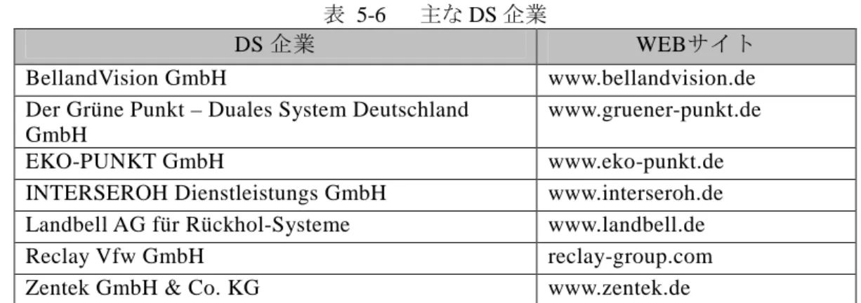 表   5-6  主な DS 企業