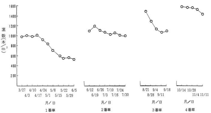 図 1  パラトン  の + 番草および再生番草に至る茎数密度の推移 +33, 年 