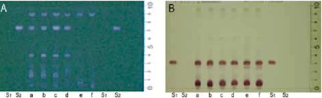Fig. 5.   TLC chromatogram patterns in the identification test describing in the current Japanese  Pharmacopoeia (XV supplement I)