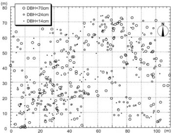 図 1. 秋田県田沢湖町ブナ天然林内のブナの個体配置図（Takahashi et al. （2000）より改変） ． 生を調査対象とすることもある． 調査地の設定にあたって，まず各個体の位置を測量し，それらの立木位置図を作成する （図 1）．全調査個体から葉や冬芽などの分析用試料を採取し，それらを実験室に持ち帰り， いくつかの遺伝マーカーについて分析し，全調査個体の遺伝子型データを得る．結果として， 得られるデータは例えば表 1 のようにまとめられる．ここでは図 1 の集団に対して，Mdh-3， Dia-1