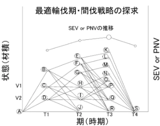 図 4. SEV · PNV の推移． のまま維持しながら，新たな T に対し，更に最適な経路が探索される．これに対し，後ろ向き 探索法では，常に T を決めてから，最適な間伐戦略が探求されるため，途中経過が次の T に 反映しにくいため，常に新たな T に対し，最適解が探求されなければならない． ここまで見てきて分かるように，動的計画法によるモデリングでは，動的計画法ネットワー クの構築が成長モデルに依存することが分かる．上記で仮定したような単純なモデルではネッ トワークがそれほど複雑にはならずに，1 期