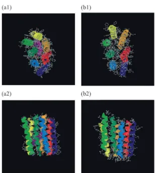 図 5. bacteriorhodopsin の自然の構造（a）とレプリカ交換シミュレーションで得られたエネ ルギー極小構造（b）の比較．（a1）， （a2）などの記号の後の番号は一つの構造を違う方向 から見た図であることを示す．自然の構造（a）では，シミュレーションでは取り入れな かったレチナール分子を紫で表した． 4