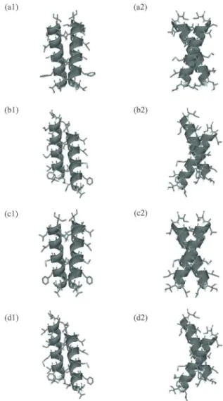 図 4. glycophorin A の自然の構造（a）とレプリカ交換シミュレーションで得られた 3 つの構 造（b）， （c）， （d）の比較（図 3 のクラスター 1，2，3 に対応）．（a1）， （a2）などの記号の 後の番号は一つの構造を違う方向から見た図であることを示す．