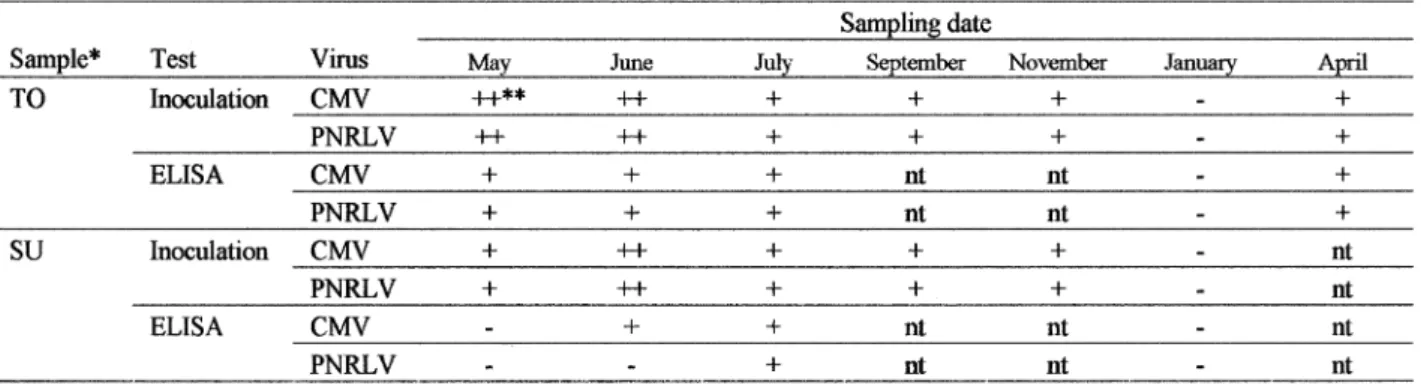 Table . Detection of CMV-Um and PNRLV in various times through the year by sap inoculation and ELISA