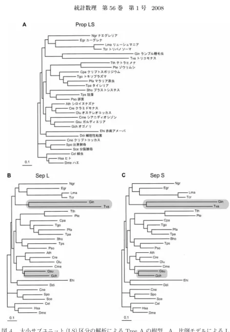 図 4. 大小サブユニット（LS）区分の解析による Tree A の樹型．A，比例モデルによる L 区 分の系統樹．L 区分の枝長：S 区分の枝長=1：0.887． Γ 分布のパラメータは，L 区分 の α = 0 