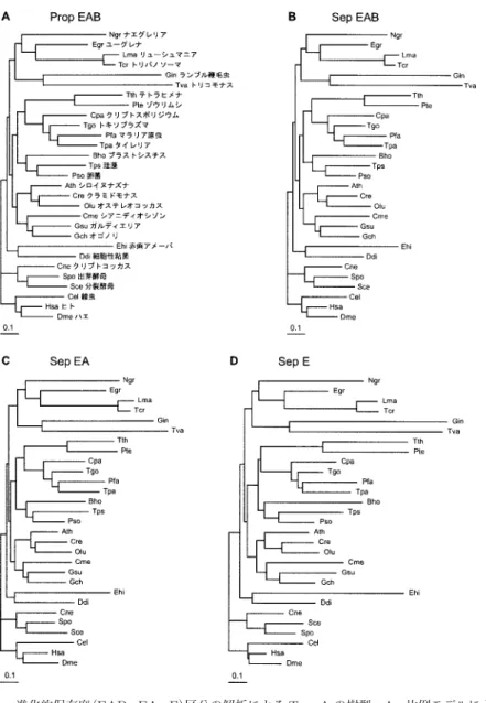図 5. 進化的保存度（EAB， EA， E）区分の解析による Tree A の樹型．A，比例モデルによる EAB 区分の系統樹．EAB 区分の枝長：EA 区分の枝長：E 区分の枝長＝ 1：1.010：