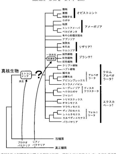 図 6. 真核生物の初期進化に関する現在の知見．現在までに支持されている高次系統群の関係 を示した．複数遺伝子の結合データ解析によって単系統性が明確に示されていないスー パーグループ名には？をつけて示した（本文参照）．