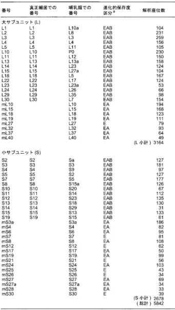 表 1. 解析に用いたリボソーム蛋白質一覧．
