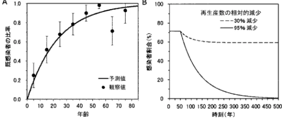 図 2. ヘリコバクター・ピロリ菌の感染過程データ．A．横断的な血清学的調査によって得ら れた年齢別のヘリコバクター・ピロリ菌の既感染者割合（ n = 264 人）．調査年は 1974 年であり（Fujisawa et al., 1999），調査当時の流行は平衡状態にあり，時刻に独立な新 規感染者数を認めていたものとする．B．時刻 t = 50 年に流行対策が開始されるシナリ オにおける人口中の未発癌の感染者割合．t = 50 より前は流行は平衡状態にあったもの と仮定している．点線と実線の違いは感染症の流