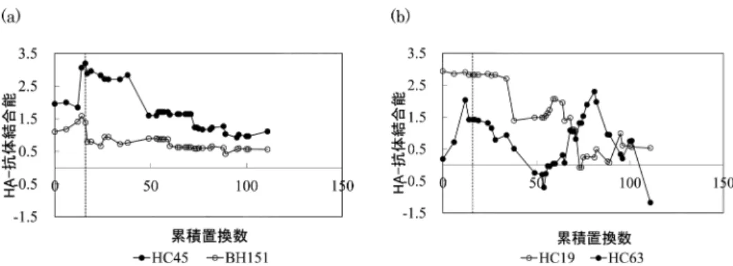 図 1. 系統樹の 幹 に沿ったアミノ酸累積置換数（横軸）と HA 抗体結合能（縦軸）の変化．置 換数が 20 弱の辺りで引いてある点線は 1968 年付近の分岐点を示している． 式を計算することが出来る． 図 1 に HA1 の全アミノ酸配列に対して再構築したアミノ酸置換の累積置換数を横軸にとっ た HA-抗体結合能の変遷を示した．図 1 （a）では宿主細胞受容体との結合領域から外れた領域 で HA と結合する抗体についての解析結果を示している．35 年に渡る結合能の変化は比較的緩 やかなものとなっている