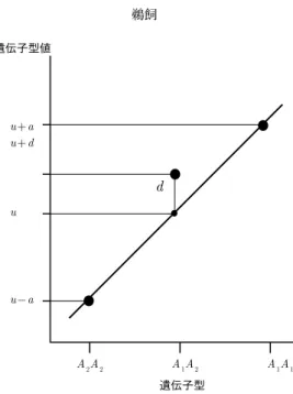 図 2. フィッシャーのホモ接合体基準モデル. 相加効果 a と優性効 果 d は，集団の遺伝子型頻度に依存しない．（g 11 = 100, g 12 = 90, g 22 = 60 とする