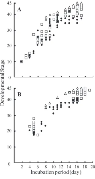 Fig. 3   Developmental stages attained by dead quail  embryos