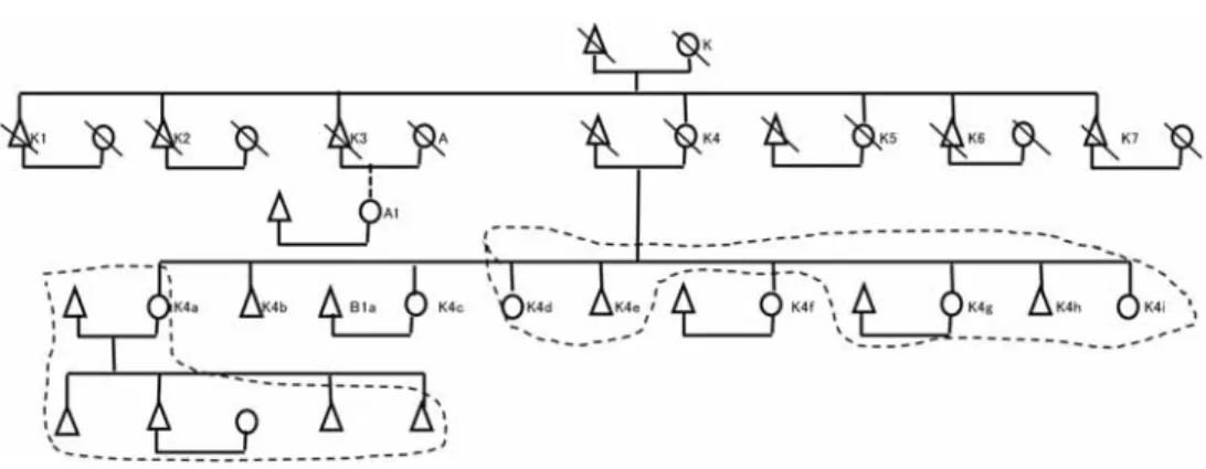 Figure 4 Cirong group lineage K