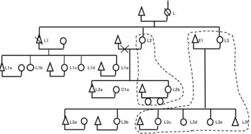Figure 5 Cirong group lineage L