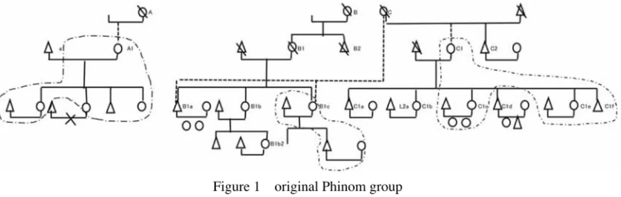 Figure 1 original Phinom group