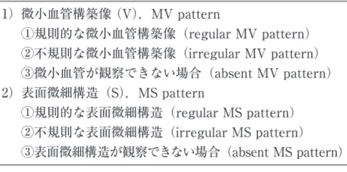 表 1 VS classﬁcation system 1）微小血管構築像 （V），MV pattern   ①規則的な微小血管構築像（regular MV pattern）   ②不規則な微小血管構築像（irregular MV pattern）   ③微小血管が観察できない場合（absent MV pattern） 2）表面微細構造（S），MS pattern   ①規則的な表面微細構造（regular MS pattern）   ②不規則な表面微細構造（irregular MS pattern）   ③