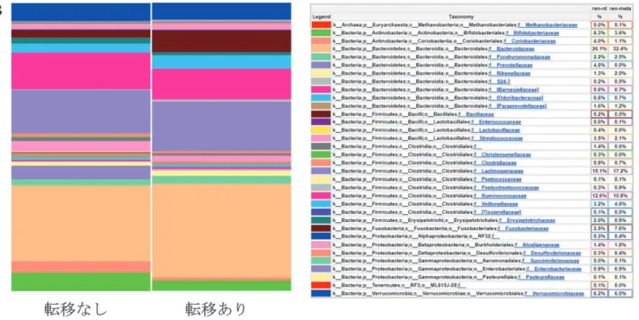 図 3 それぞれの群別での科レベルでの腸内細菌叢構成
