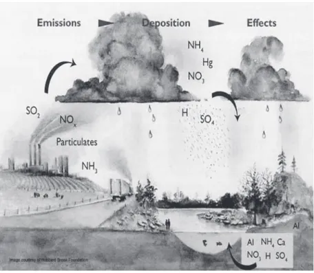 Figure 9. Acid Rain Cycle