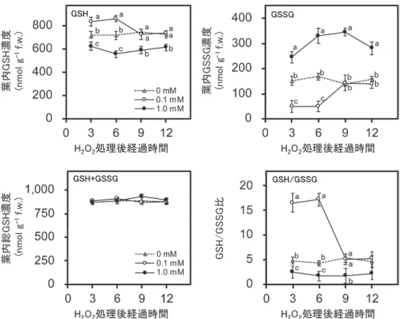 図 3  H 2 O 2 処理開始後 40日後における最大葉の葉内の還元型グルタチオン（GSH），酸化型グルタチ オン（GSSG），総グルタチオン含有量および酸化還元比（GSH/GSSG）。図中の折れ線マーカー はそれぞれ（△）が0 mM， （○）が0.1 mM， （●）が 1.0 mM H 2 O 2  処理を示している。図中のバー は標準偏差（n＝6）を示し，異なる英小文字間は Tukey-Kramerの多重検定で有意水準5% を示す。 検定は同じ時間軸の処理区間で実施した。 処理濃度 総出葉数 （枚 