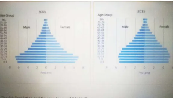 Figure 2.2. Age Composition percent of the Population, 1995-2015 