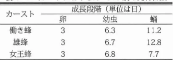 表 4 コミツバチにおけるカースト別の発育日数 卵 幼虫 嫡 働 き蜂 3 63 112 雄蜂 3 67 1 28 女王蜂 3 68 77 S a n d h ua n dS l n g h( 1 960 ) を改変 亜属の働き蜂も同じように尻振 りダンスにより 仲間に花蜜や水の場所を教えている.ダンスは 両種 ともに巣の頂上部で行 うことが特徴的であ る.巣の頂上部は平らになっているので,太陽 の位置に関係な く直接餌場の方向に向かって尻 振 りダンスを して距離を教えているらしい ( 図 8)