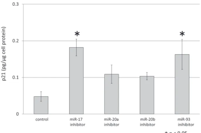 Fig. 7   The levels of p21 expression in CD44 ＋  isolated  from  MDA-MB-231  cells  after  exposure  to  each inhibitor for miR-17, miR-20a, miR-20b,  or miR-93. Date are shown as means  ±  SD 