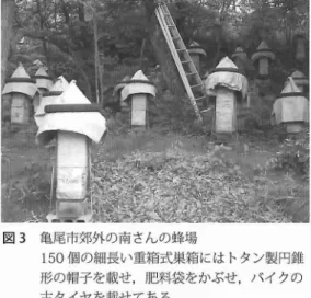 図 3 亀尾市郊外の南さんの蜂場 1 5 0 個の細長い重箱式巣箱にはトタン製円錐 形の帽子を載せ,肥料袋をかぶせ,バイクの 古タイヤを載せてある. 南 :ない. 久 :円錐形の泥製巣箱を見たことはないか ? 南 :ない