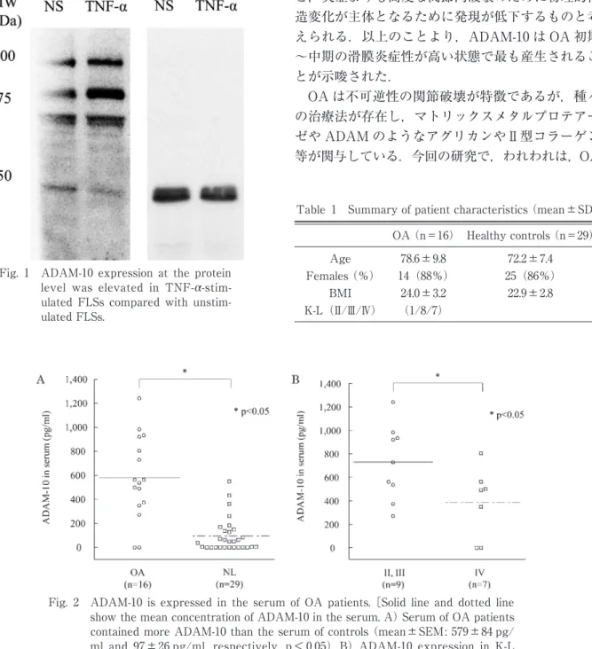 Fig. 2  ADAM-10 is expressed in the serum of OA patients. ［Solid line and dotted line  show the mean concentration of ADAM-10 in the serum. A） Serum of OA patients  contained more ADAM-10 than the serum of controls （mean ± SEM: 579 ± 84 pg/