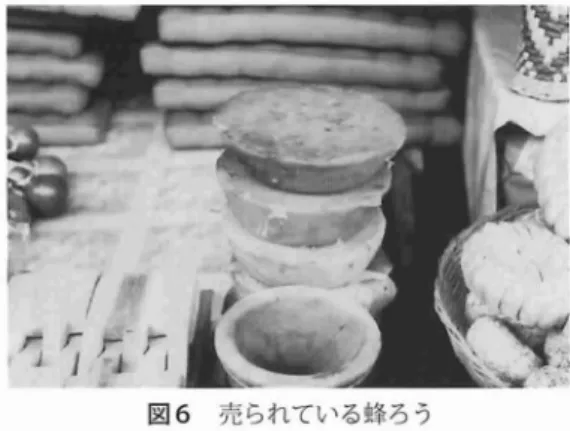 図 5 軒下に吊されたトウヨウミツバチ用の巣箱 てもらわないで,もって帰るにはこの方がいい. 1 包み 20 バーツ程度だ. 野生のミツバチの巣を探 しだ しとって くるこ とが多いが,営巣 もさせている.ココヤシの幹 や樹木を輪切 りに して中を くりぬき筒状に し, 両端にふたを し, 小さな穴を一つあけたものだ