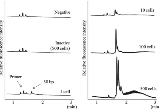 Fig. 5  Telomerase  activity  of  human  cancer  cell  lines  using  bioluminescence