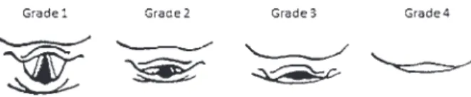 Table 1 Baseline Characteristics of Patients