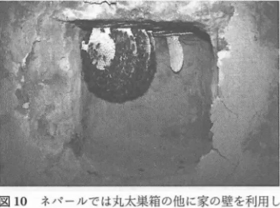 図 9 対馬の伝統養蜂で用い られる丸太巣箱. トウヨ 図 1 0 ネパ ールでは丸太巣箱の他に家の壁を利用 し ウ ミツパテはア ジアの各地 で広 く飼育 され,丸太巣 たコパ ( 壁轟)巣箱が伝統的によ く用い られている