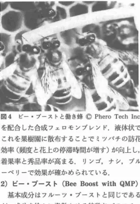 図 4 ビー ･ブーストと働き蜂 ◎ Ph e r oTe c hl n c . を配合 した合成 フェロモ ンブレン ド.液体状で これを果樹園 に散布することで ミツバチの訪花 効率 ( 頻度 と花上 の停滞時間が増す)が向上 し, 着果率 と秀品率が高 まる