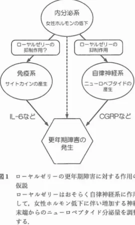 図 1 ローヤルゼ リーの更年期障害に対する作用の 仮説 ローヤルゼ リーはおそらく自律神経系に作用 して,女性ホルモン低下に伴い増加する神経 末端からのニューロペブタイ ド分泌員を調整 する