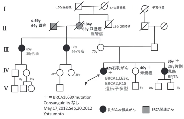 図 3 BRCA1，L63X，Family，No. 26