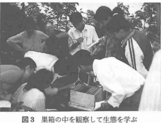 図 3 巣箱の中を観察 して生態を学ぶ トウヨウ ミツバチの巣箱 は各生態 ゾーンに最 適な形を見つけることを目指 し, ジュムラ ( 西 ネパール山岳地域) とゴダワ リ蜂場 ( 中央ネパ ール, カ トマ ンズ盆地)で試験を続けている