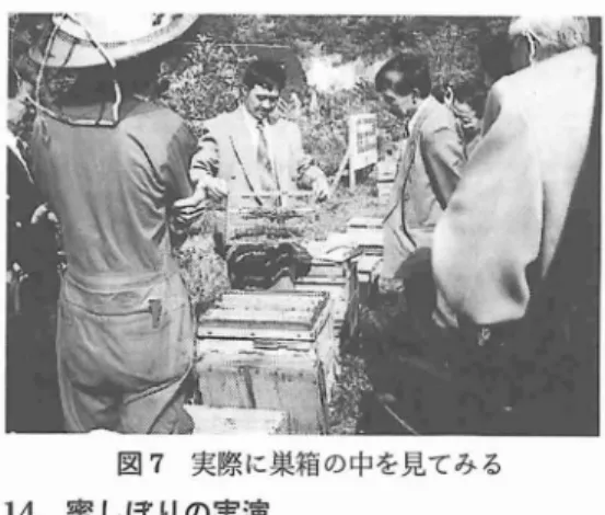 図 7 実際に巣箱の中を見てみる 14 空 しぼ りの実演 事 情 の許 す限 り,来館 者 向 けに 1 日数 回,塞 しぼ りの実演 を して い る.家族 づ れ の皆 さん に 好評 で,甘 い香 りが ただ よ う中で, しぼ りたて のハ チ ミツを味 わ って も らう.希望者 に は蜜 ブ タの試 食 も して頂 いて い る