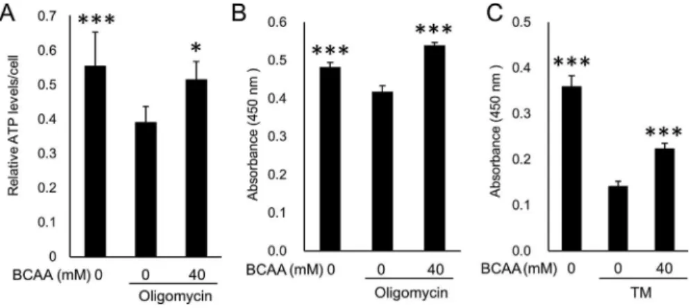 Fig. 2. BCAAs prevent ATP decrease and cell death in photoreceptor-derived cells. (AeC) ATP decrease and cell death are prevented by BCAA administration in 661W photoreceptor-derived cells