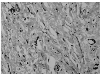 Fig. 6   haematoxylin and eosin （H&amp;E） stain, mono  therapy （ × 10）.