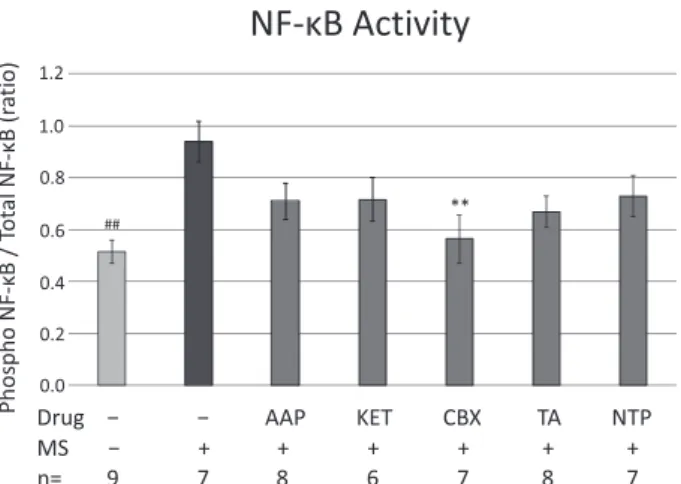 Fig. 2.   Effect  of  anti-inflammatory  analgesics  on  MS-induced  NF- κ B  activation