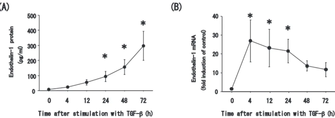 Fig. 3.   Time  course  of  endothelin-1  induction  with  TGF-β. （A）   Total  amount  of  endothelin-1  protein  secreted  into  the  medium,  and  （B）   expression  of  endothelin-1  mRNA  for  BEAS-2B  cells  stimulated  with  10 ng/ml  TGF-β