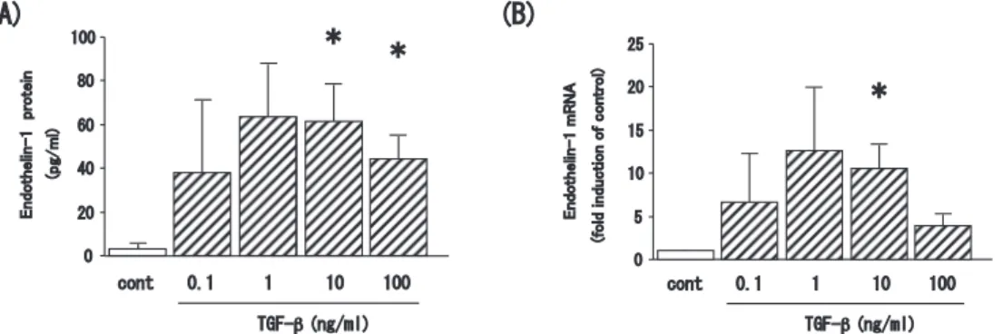 Fig. 5.   Endothelin-1  induction  with  different  doses  of  TGF-β.  （A）   Total  amount  of  endothelin-1  protein  secreted  into  the  medium,  and  （B）   expression  of  endothelin-1  mRNA  for  BEAS-2B  cells  stimulated  with  the  indicated  doses