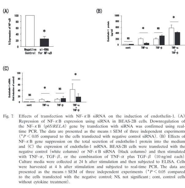 Fig. 7.    Effects  of  transfection  with  NF-κB  siRNA  on  the  induction  of  endothelin-1