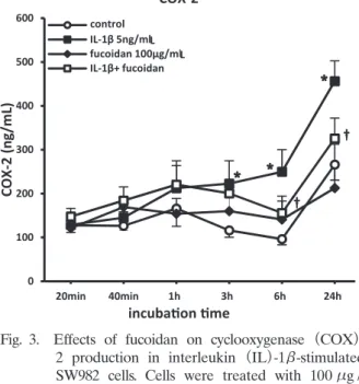Fig. 4.  Effects  of  fucoidan  on  translocation  of  nuclear  factor （NF） -κ B / p65  into  the  nucleus  of  interleukin （IL） -1β -stimulated  SW982  cells