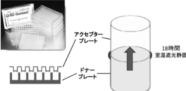 Fig. 2　the pre-coated PAMPA plate system の概略図