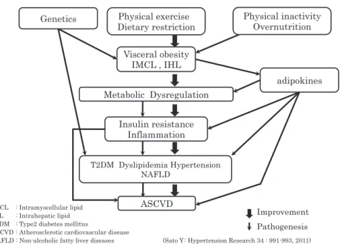 Fig. 4.  Physical  exercise  improves  or  prevents  metabolic  syndrome-associated  disorders.