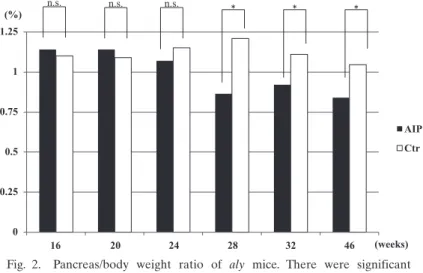 Fig. 2.  Pancreas/body  weight  ratio  of  aly  mice.  There  were  significant  differences  between  the  aly/aly  mice  as  a  model  of  autoimmune  pancreatitis （AIP）   and  aly/+ （control）   mice  at  28,  32,  and  46  weeks  of  age