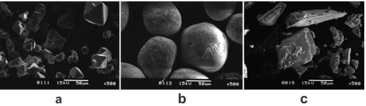 Fig. 4　Scanning electron microscope image of arsenous acid crystals a：China and Korea，b：Japan，c：Germany and Switzerland