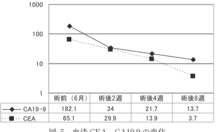 図 5 血清 CEA，CA19-9 の変化